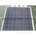 Great Competitive in MID East Market! 60watt Poly Solar Panel Module